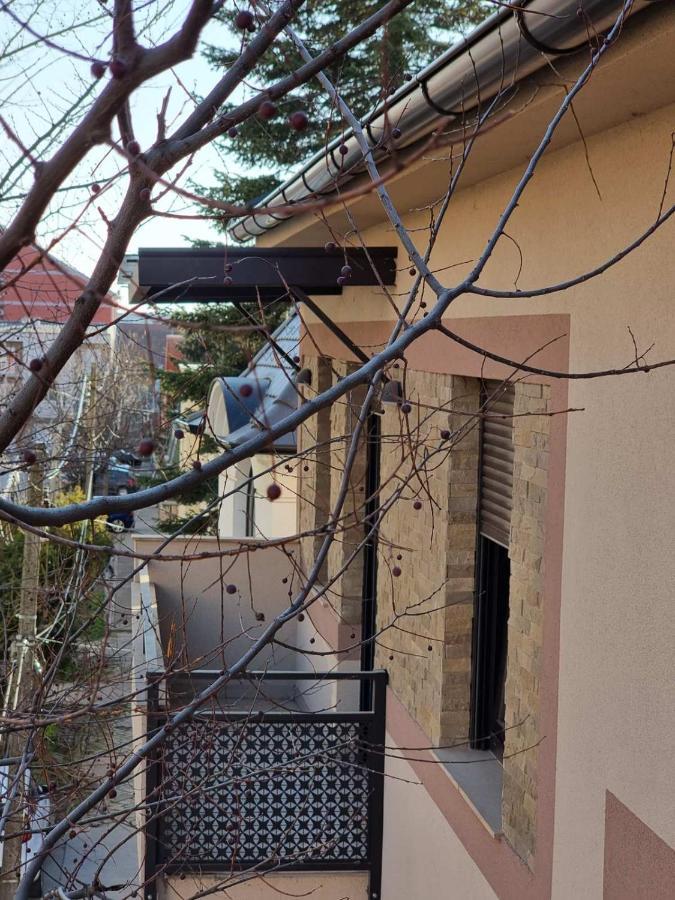 As Apartman 2 Vrsac Exteriör bild
